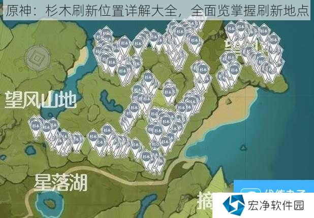 原神：杉木刷新位置详解大全，全面览掌握刷新地点