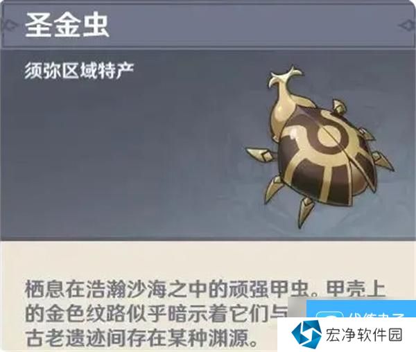 原神圣金虫在哪-圣金虫采集路线大全