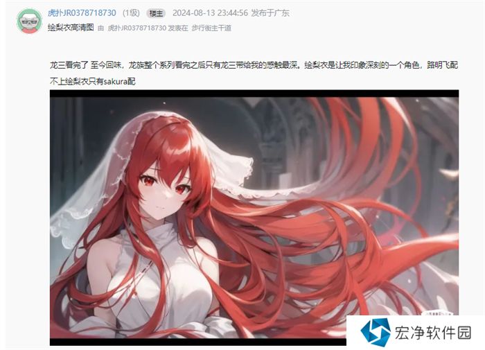 今年虎扑女神大赛，《龙族》粉丝集体演了一出“越共探头”